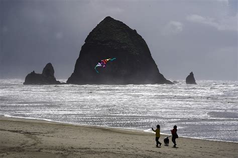 Oregon’s Cannon Beach reopens after cougar sighting on iconic coastal rock led to closure